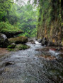 /album/vy-a-my-jamajka-port-antonio/port-antonio-jamajka-vylety-97-jpg/